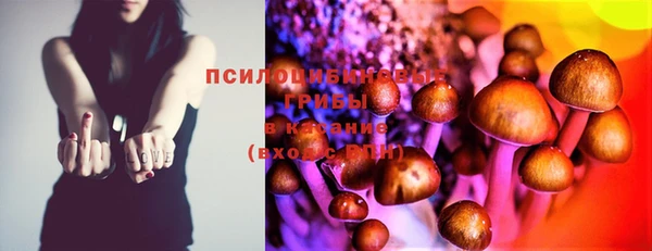 ГАЛЛЮЦИНОГЕННЫЕ ГРИБЫ Инсар