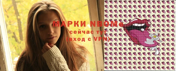 ГАЛЛЮЦИНОГЕННЫЕ ГРИБЫ Инсар