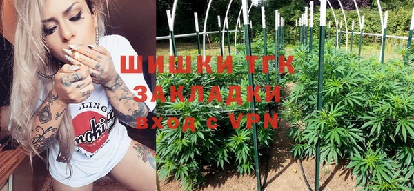 ГАЛЛЮЦИНОГЕННЫЕ ГРИБЫ Инсар
