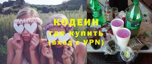 ГАЛЛЮЦИНОГЕННЫЕ ГРИБЫ Инсар