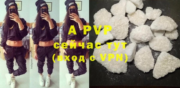 ГАЛЛЮЦИНОГЕННЫЕ ГРИБЫ Инсар